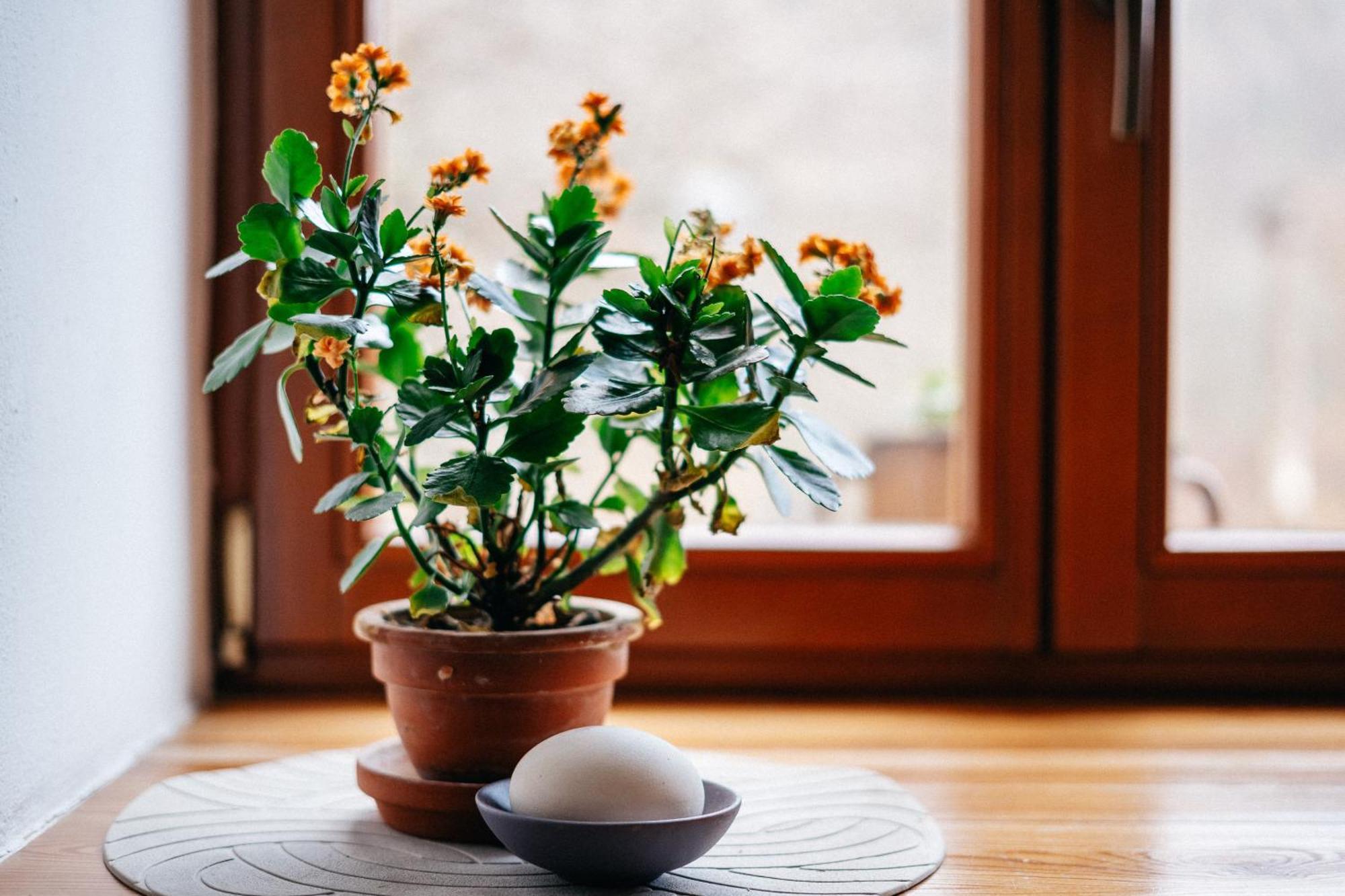 Apartmán Na Náměstí Stárkov Esterno foto